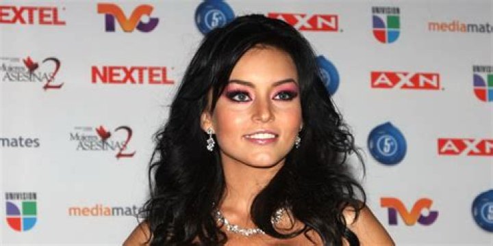 Angelique Boyer Net Worth