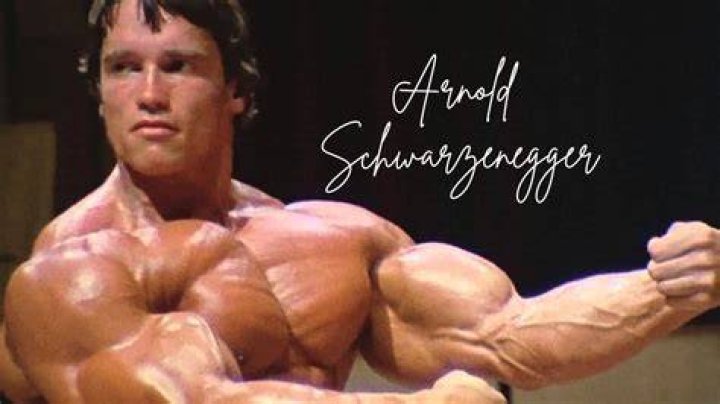 Arnold Schwarzenegger Career