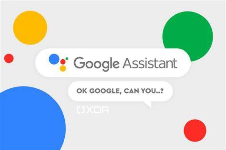 Assistant