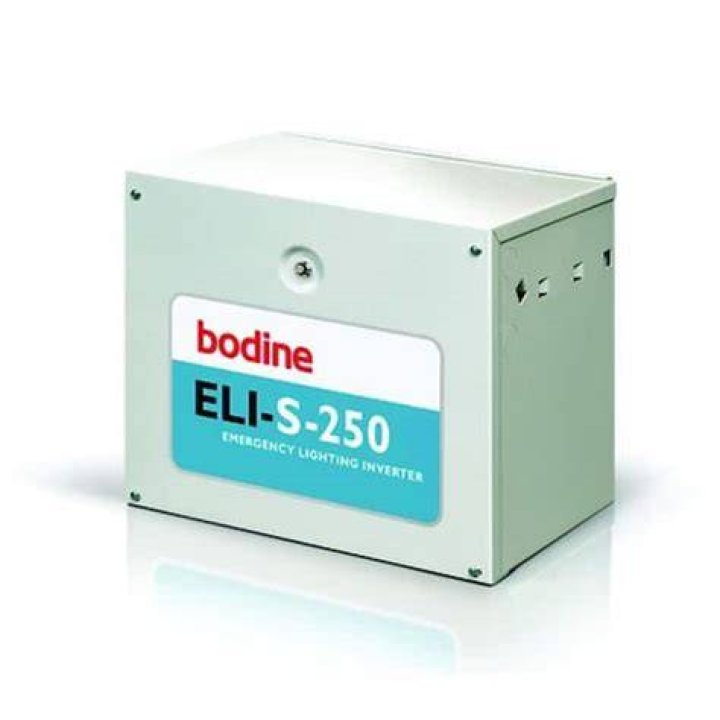Bodine