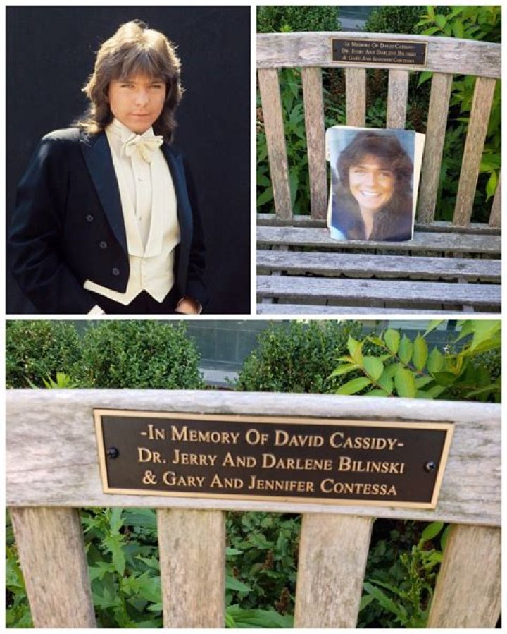 Cassidy: A Music and Acting Success Story