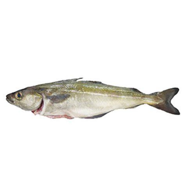 Coley