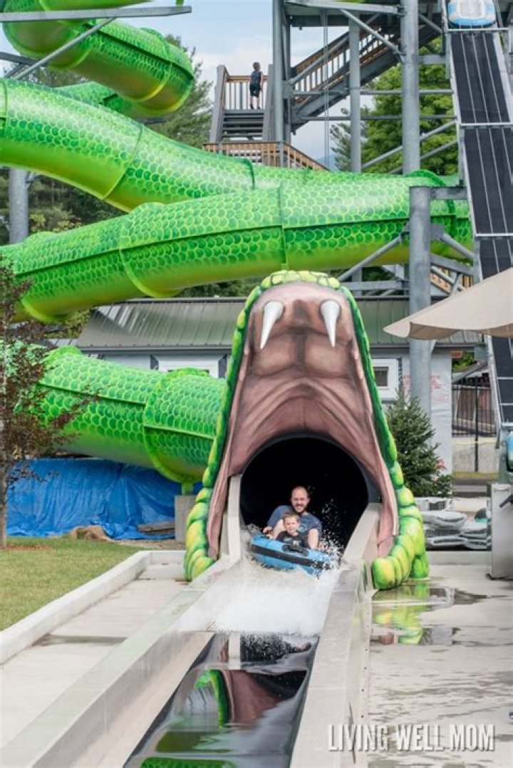 Experience the Exciting Anaconda Escape Challenge in 'Like a Dragon: Infinite Wealth'
