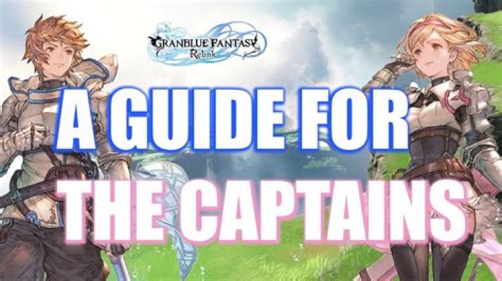 Granblue Fantasy Relink: Captain Build Guide - SarkariResult