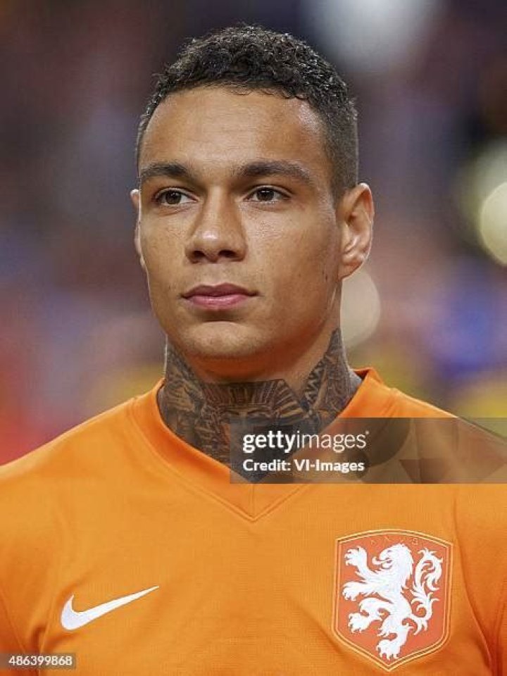 Gregory van der Wiel