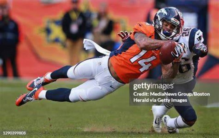 Himself - Denver Broncos Wide Receiver / Himself - Dallas Cowboys Wide Receiver / Himself - San Diego Chargers Wide Receiver