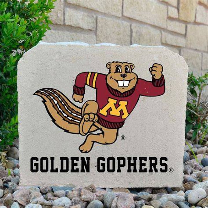 Himself - Minnesota Golden Gophers Running Back