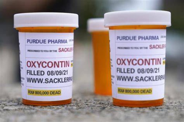 How Much Did Purdue Pharma Really Make from OxyContin? - SarkariResult