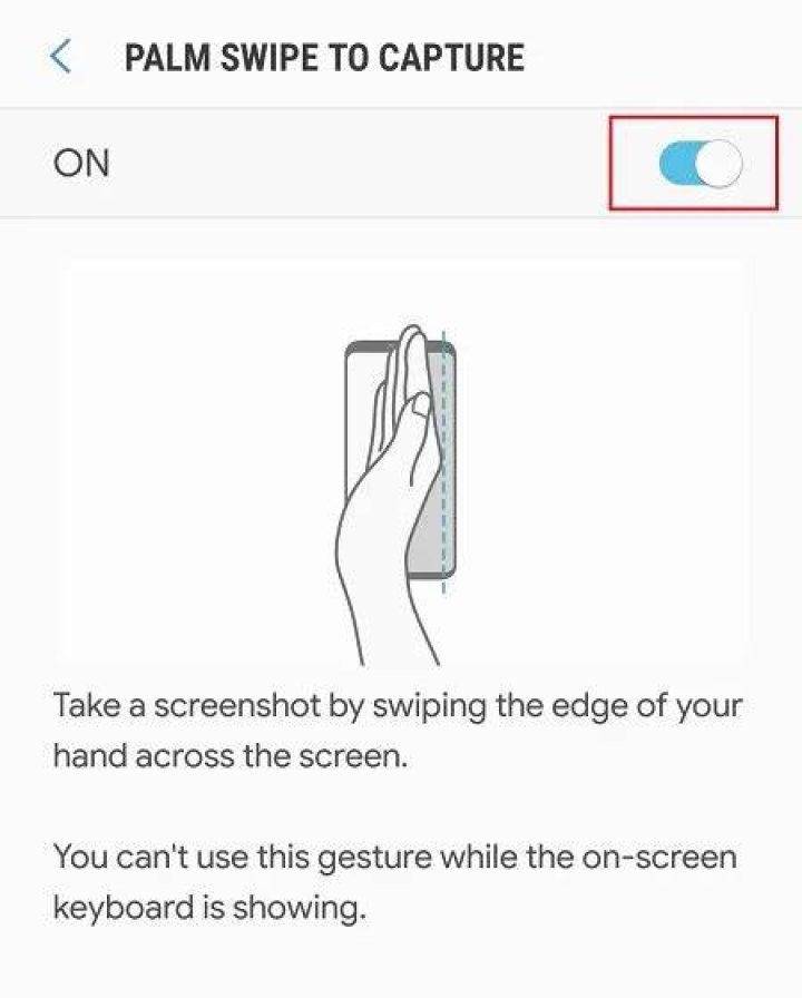 How to Fix / Solve Palm Swipe To Capture Not Working - SarkariResult