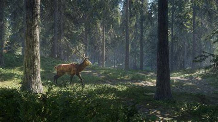 How to Fix / Solve The Hunter Call of The Wild Apex Connect Not Working - SarkariResult
