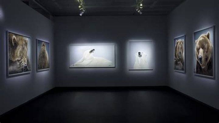 Jill Greenberg