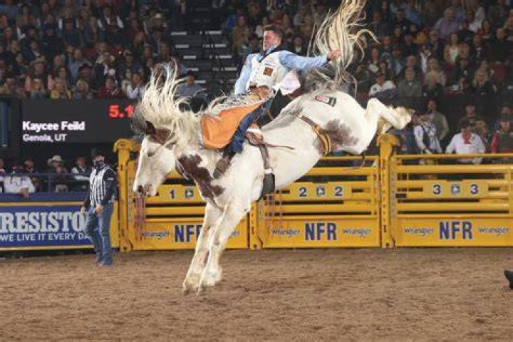Kaycee Feild