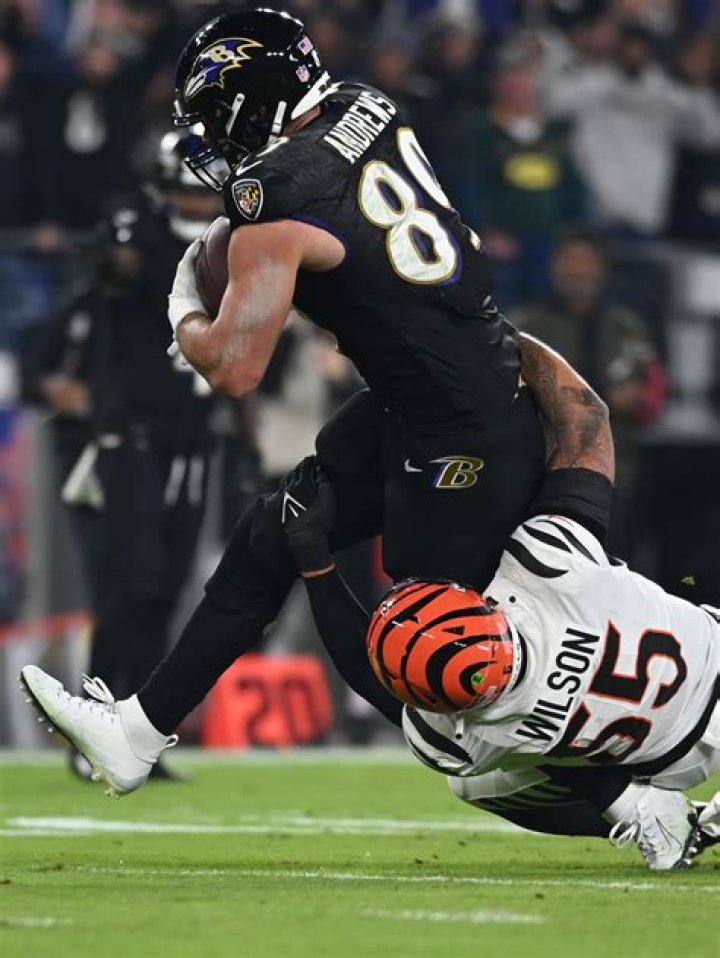 Mark Andrews' Injury: What's the Current Situation with Mark Andrews? - SarkariResult
