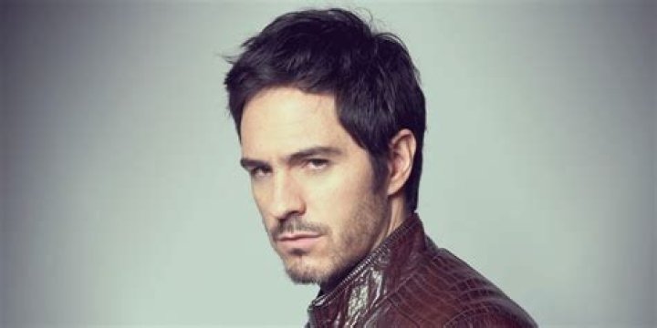 Mauricio Ochmann Net Worth