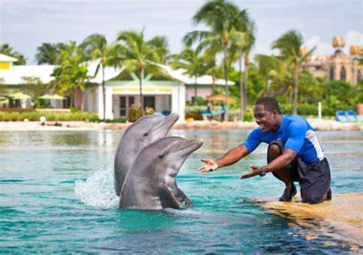 Melissa-Cay Genove