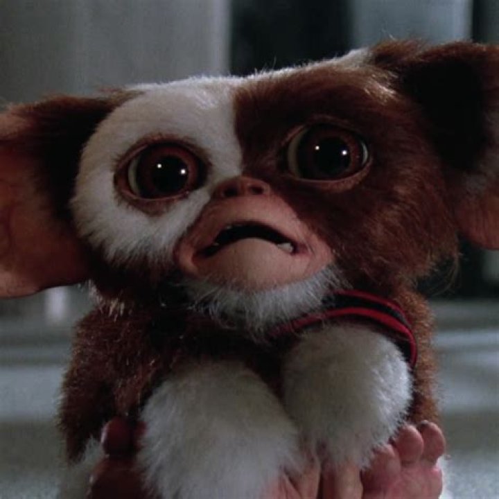 Mogwai / Gremlins