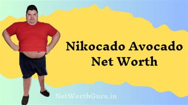 Nikocado Avocado net Worth(From Youtube Channels)