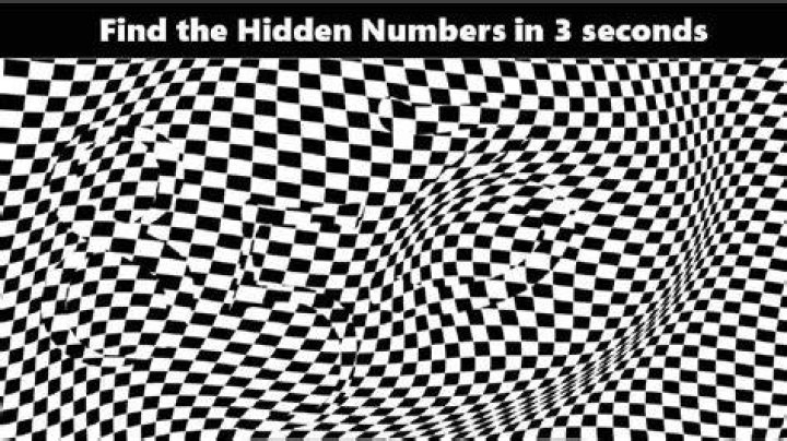 Optical Illusion Challenge: Can You Spot The Number 533 Within 7 Secs? - SarkariResult