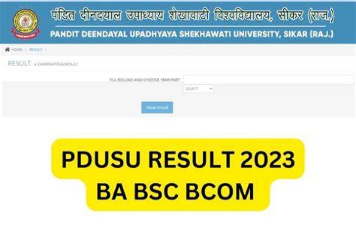 PDUSU Result 2024, Shekhawati University BA BSc BCom Result