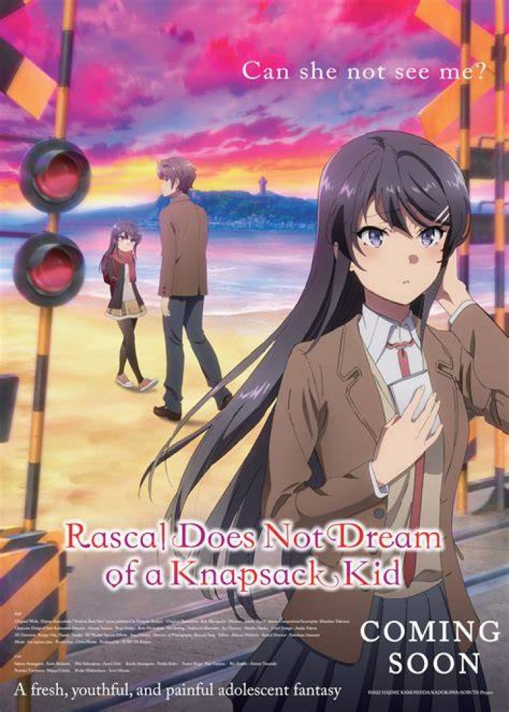 Rascal Does Not Dream of Bunny Girl Senpai