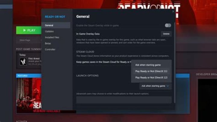 Ready or Not: Which DirectX Version Should You Choose for Optimal Gaming Performance?