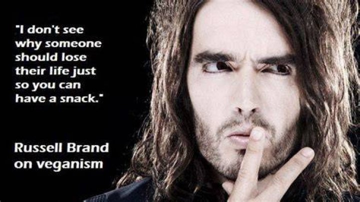 Russell Brand and Veganism: A Glimpse into His Vegan Journey - SarkariResult