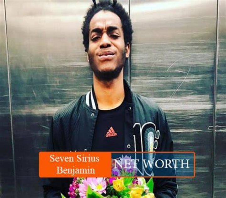Seven Sirius Benjamin Net worth