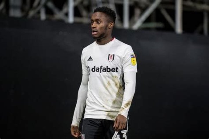 Steven Sessegnon Net Worth: Career, Home, Age, Income, All You Need to Know - SarkariResult