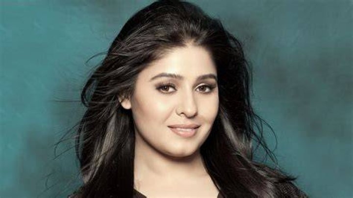 Sunidhi Chauhan Net Worth Sunidhi Chauhan Net Worth