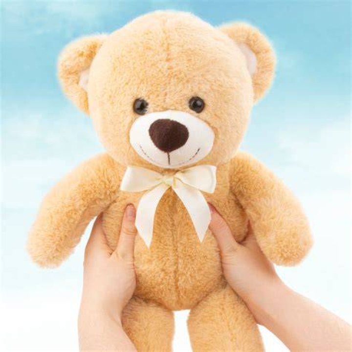Teddy's Surgeon