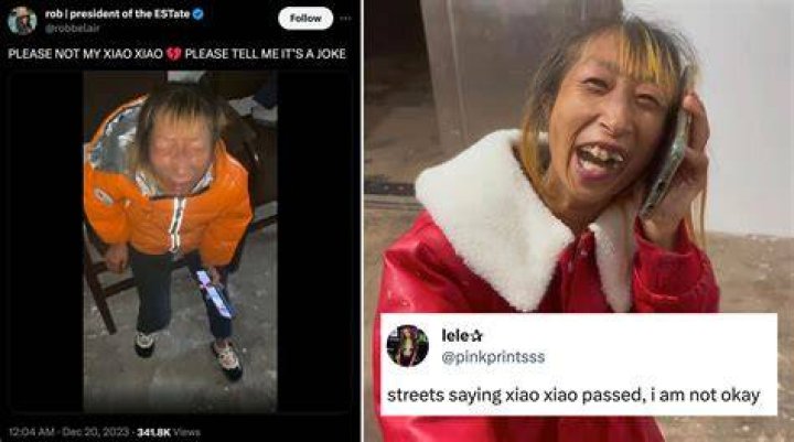 The Rumors Surrounding Xiao Xiao's Death: Separating Fact from Fiction