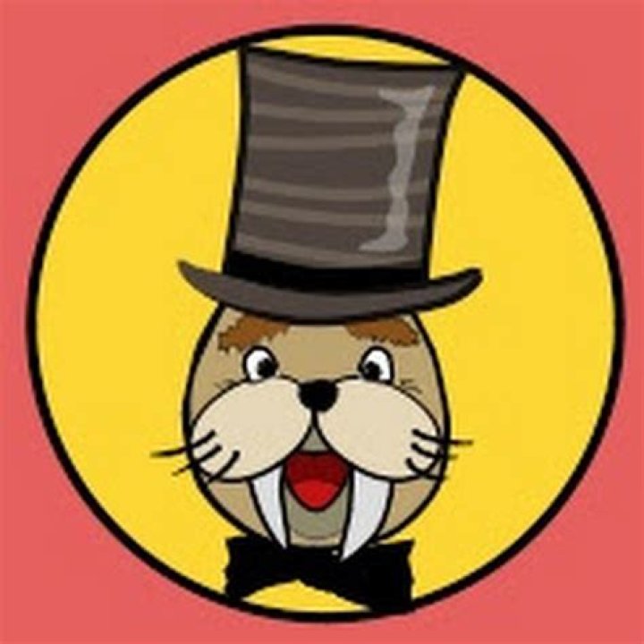 The Singing Walrus - English Songs For Kids net worth, income and estimated earnings of Youtuber channel