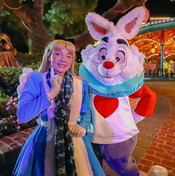 The White Rabbit