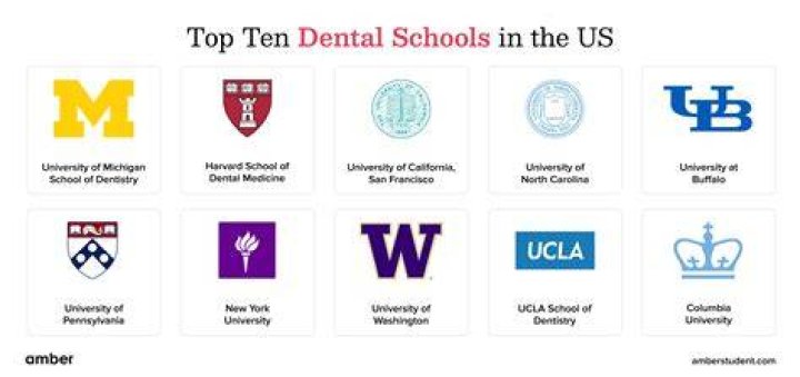 Top 10 Dental Schools in Tennessee - Excelling in the Field of Dentistry - SarkariResult