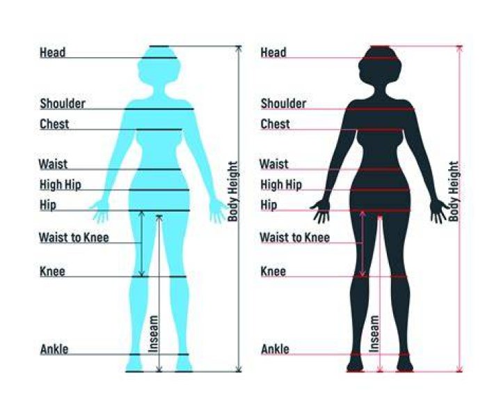 Triple H’s Body Measurements Triple H’s Body Measurements