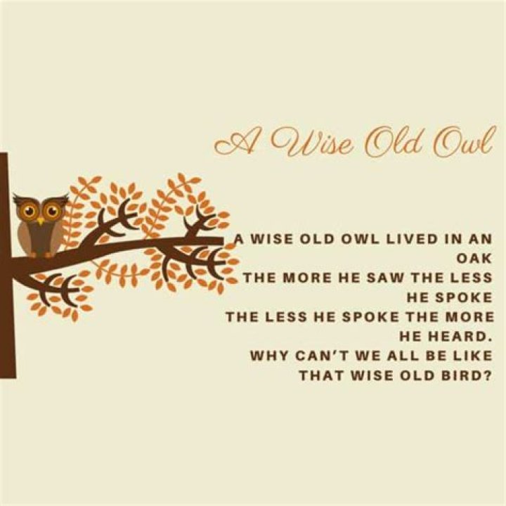 Voice of Wise Old Owl