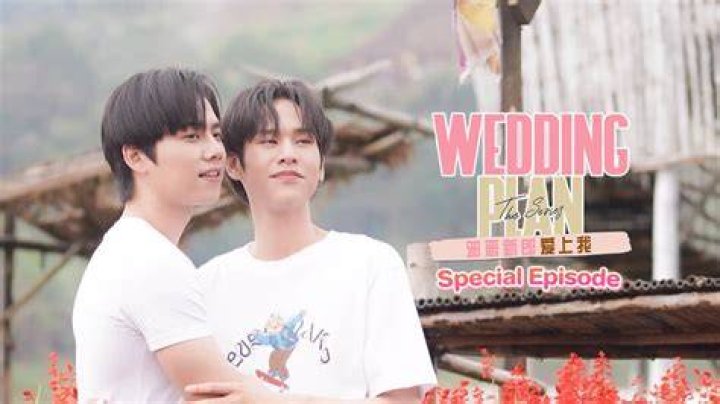 Wedding Plan Episode 7 Preview With English Sub: Where To Watch Online