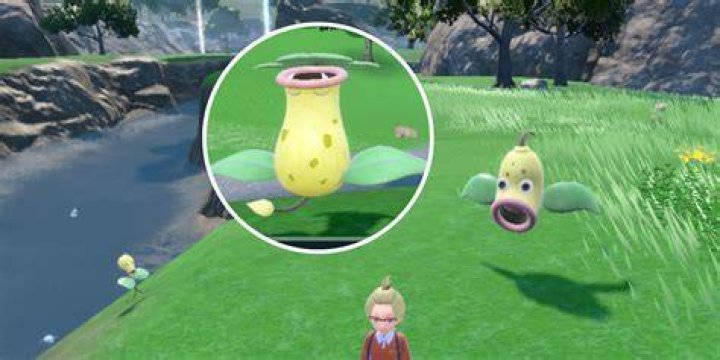 Weepinbell Evolution in Pokemon Scarlet and Violet: Step-by-Step - SarkariResult