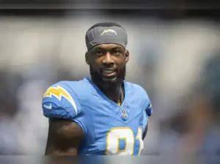 When Did Mike Williams Retire? Uncovering the Career Timeline of a Football Prodigy