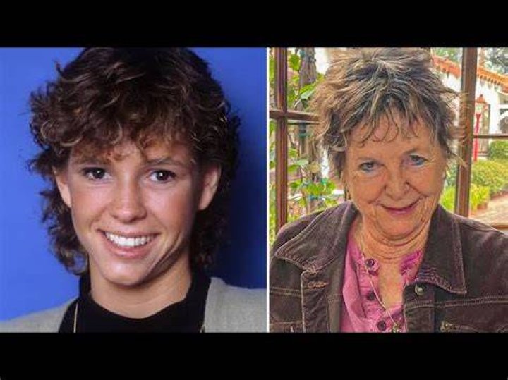 Who is Kristy Mcnichol? Where is She Now? Who is Kristy Mcnichol Partner? - SarkariResult