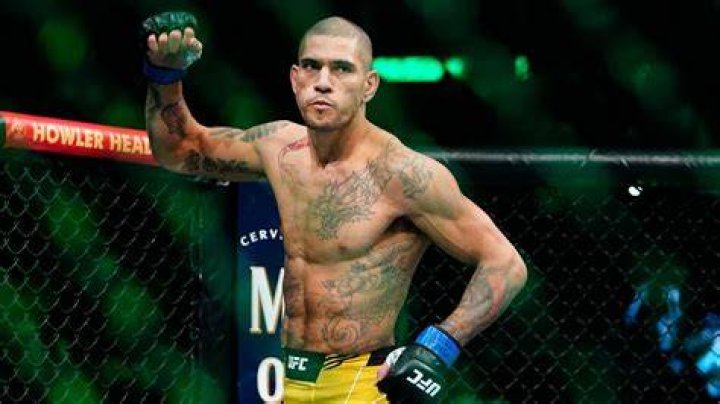 Why Did Alex Pereira and His Wife Break Up?